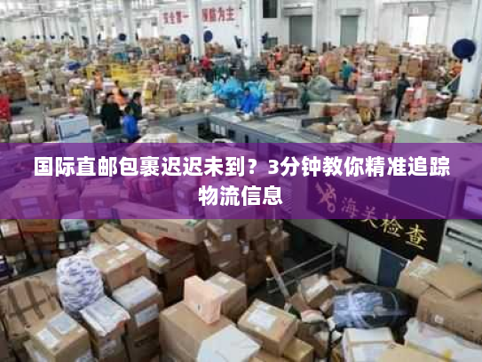 国际直邮包裹迟迟未到?3分钟教你精准追踪物流信息 国际直邮包裹迟迟未到?3分钟教你精准追踪物流信息