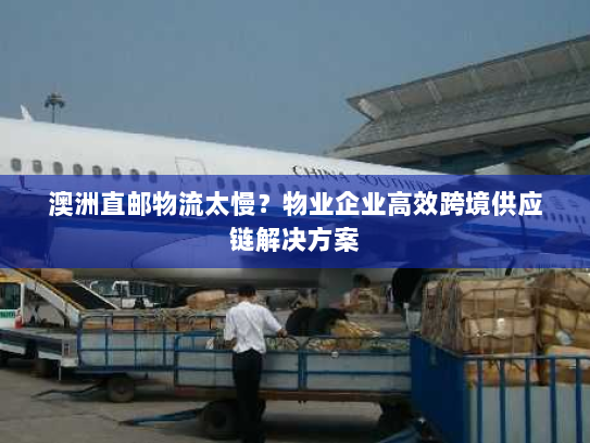 澳洲直邮物流太慢？物业企业高效跨境供应链解决方案