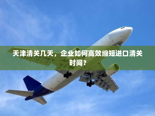 天津清关几天,企业如何高效缩短进口清关时间? 天津清关几天,企业如何高效缩短进口清关时间?