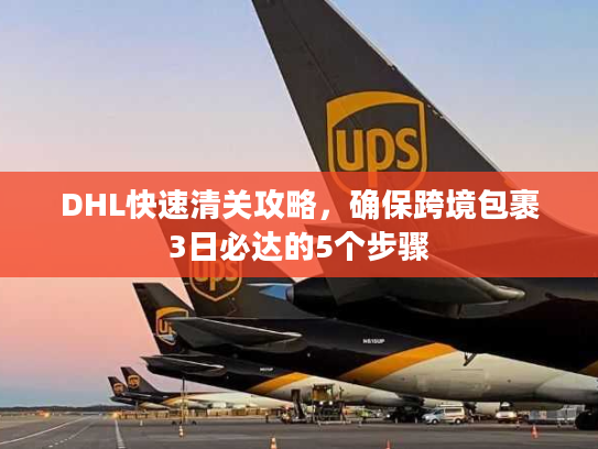 DHL快速清关攻略,确保跨境包裹3日必达的5个步骤 DHL快速清关攻略,确保跨境包裹3日必达的5个步骤