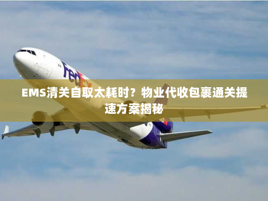 EMS清关自取太耗时？物业代收包裹通关提速方案揭秘