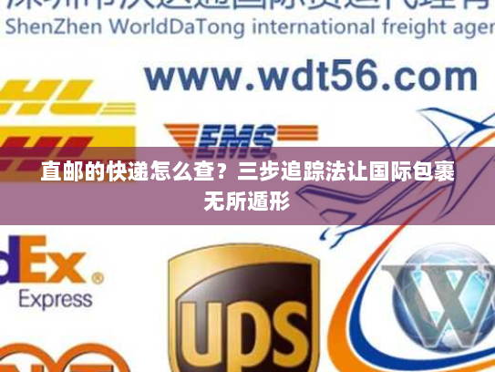 直邮的快递怎么查?三步追踪法让国际包裹无所遁形 直邮的快递怎么查?三步追踪法让国际包裹无所遁形