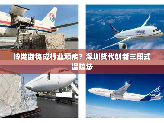 冷链断链成行业顽疾?深圳货代创新三段式温控法 冷链断链成行业顽疾?深圳货代创新三段式温控法