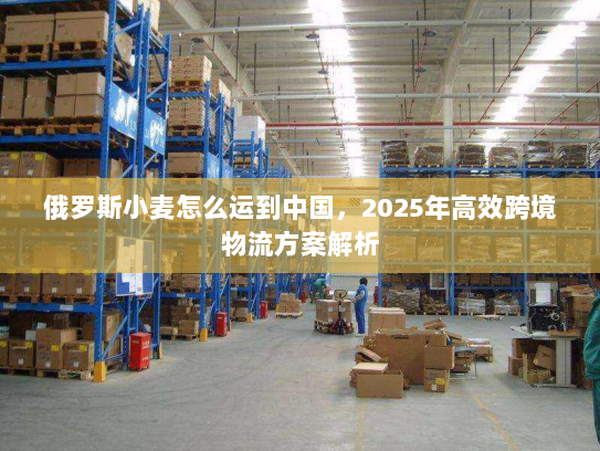 俄罗斯小麦怎么运到中国,2025年高效跨境物流方案解析 俄罗斯小麦怎么运到中国,2025年高效跨境物流方案解析