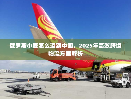 俄罗斯小麦怎么运到中国,2025年高效跨境物流方案解析 俄罗斯小麦怎么运到中国,2025年高效跨境物流方案解析