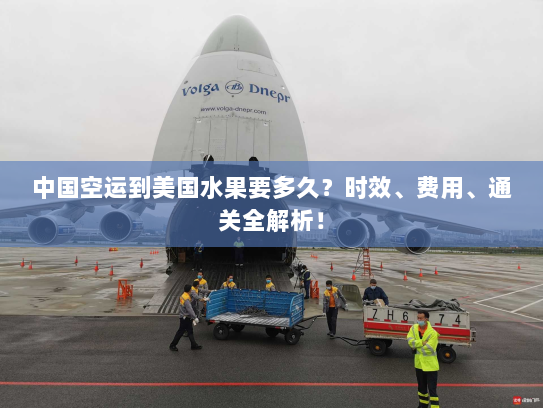 中国空运到美国水果要多久?时效、费用、通关全解析! 中国空运到美国水果要多久?时效、费用、通关全解析!