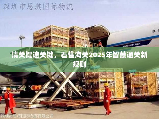 清关提速关键,看懂海关2025年智慧通关新规则 清关提速关键,看懂海关2025年智慧通关新规则