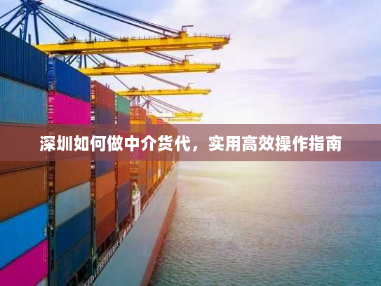 深圳如何做中介货代,实用高效操作指南 深圳如何做中介货代,实用高效操作指南