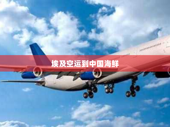 埃及空运到中国海鲜 埃及空运到中国海鲜