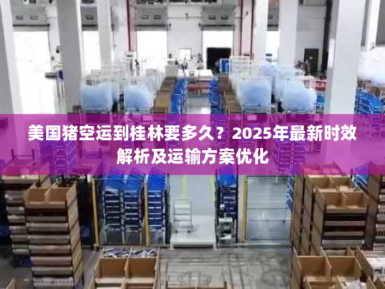 美国猪空运到桂林要多久？2025年最新时效解析及运输方案优化
