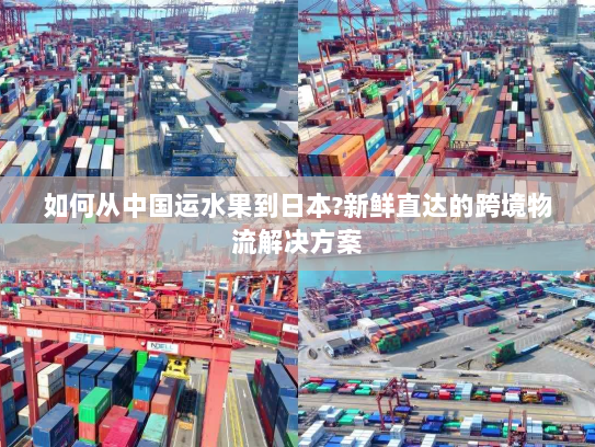 如何从中国运水果到日本?新鲜直达的跨境物流解决方案 如何从中国运水果到日本?新鲜直达的跨境物流解决方案