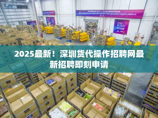 2025最新！深圳货代操作招聘网最新招聘即刻申请