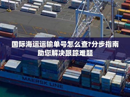 国际海运运输单号怎么查?分步指南助您解决跟踪难题