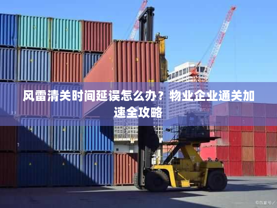 风雷清关时间延误怎么办？物业企业通关加速全攻略