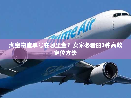 淘宝物流单号在哪里查？卖家必看的3种高效定位方法