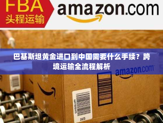 巴基斯坦黄金进口到中国需要什么手续?跨境运输全流程解析 巴基斯坦黄金进口到中国需要什么手续?跨境运输全流程解析