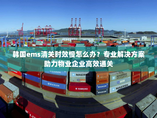 韩国ems清关时效慢怎么办?专业解决方案助力物业企业高效通关 韩国ems清关时效慢怎么办?专业解决方案助力物业企业高效通关
