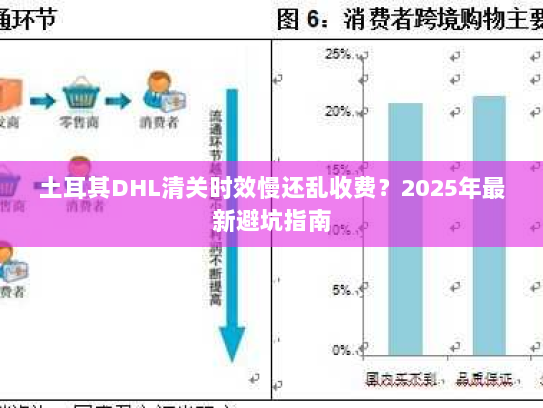 土耳其DHL清关时效慢还乱收费？2025年最新避坑指南