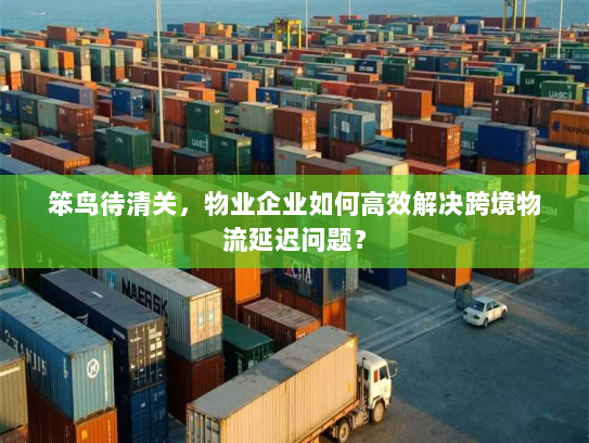 笨鸟待清关,物业企业如何高效解决跨境物流延迟问题? 笨鸟待清关,物业企业如何高效解决跨境物流延迟问题?