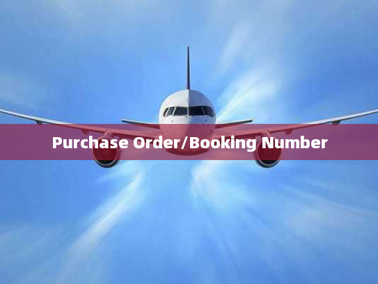 Purchase Order/Booking Number