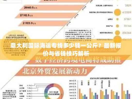 意大利国际海运专线多少钱一公斤?最新报价与省钱技巧解析 意大利国际海运专线多少钱一公斤?最新报价与省钱技巧解析