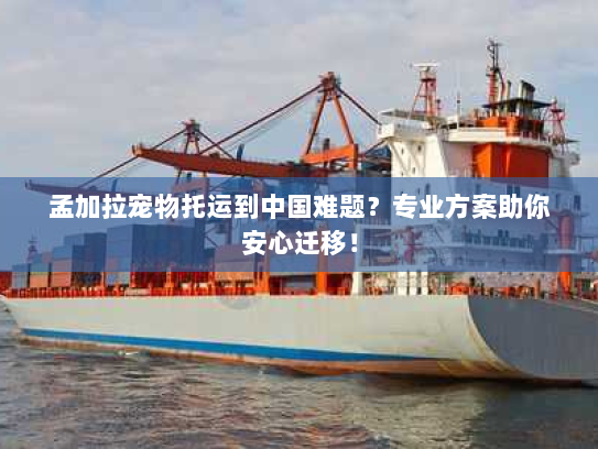 孟加拉宠物托运到中国难题?专业方案助你安心迁移! 孟加拉宠物托运到中国难题?专业方案助你安心迁移!