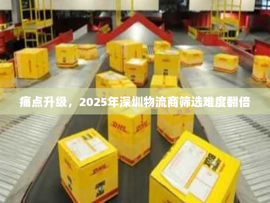 痛点升级,2025年深圳物流商筛选难度翻倍 痛点升级,2025年深圳物流商筛选难度翻倍