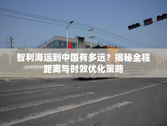 智利海运到中国有多远？揭秘全程距离与时效优化策略