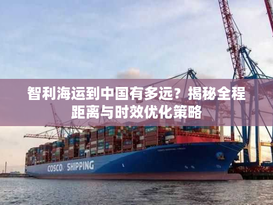 智利海运到中国有多远？揭秘全程距离与时效优化策略