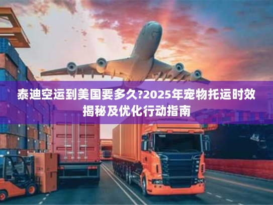 泰迪空运到美国要多久?2025年宠物托运时效揭秘及优化行动指南