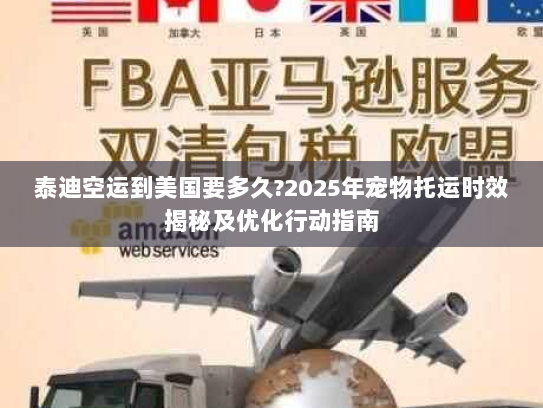 泰迪空运到美国要多久?2025年宠物托运时效揭秘及优化行动指南 泰迪空运到美国要多久?2025年宠物托运时效揭秘及优化行动指南