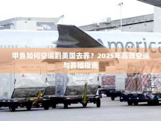 甲鱼如何空运到美国去养？2025年高效空运与养殖指南