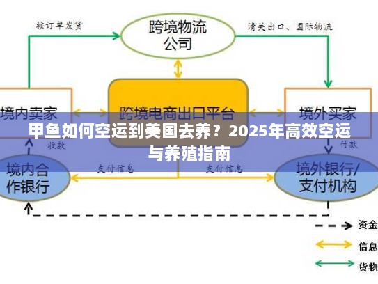 甲鱼如何空运到美国去养？2025年高效空运与养殖指南