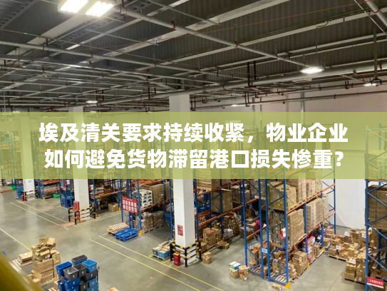 埃及清关要求持续收紧，物业企业如何避免货物滞留港口损失惨重？