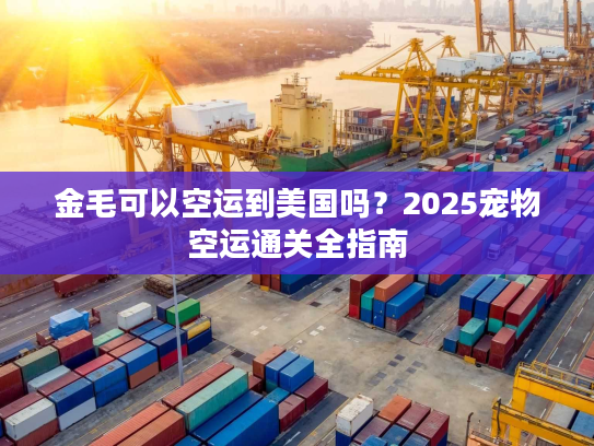 金毛可以空运到美国吗？2025宠物空运通关全指南