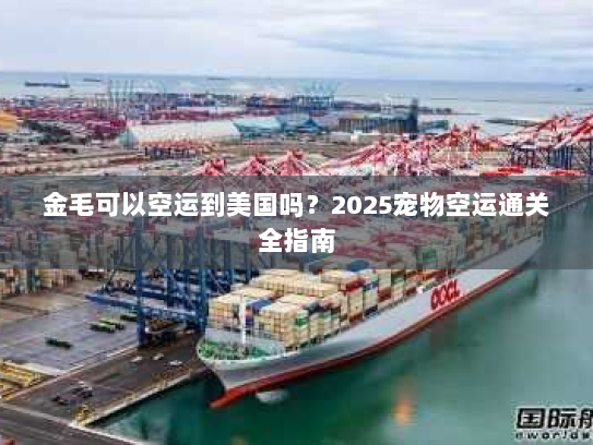 金毛可以空运到美国吗?2025宠物空运通关全指南 金毛可以空运到美国吗?2025宠物空运通关全指南