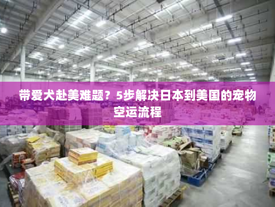 带爱犬赴美难题？5步解决日本到美国的宠物空运流程