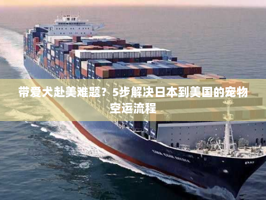 带爱犬赴美难题？5步解决日本到美国的宠物空运流程