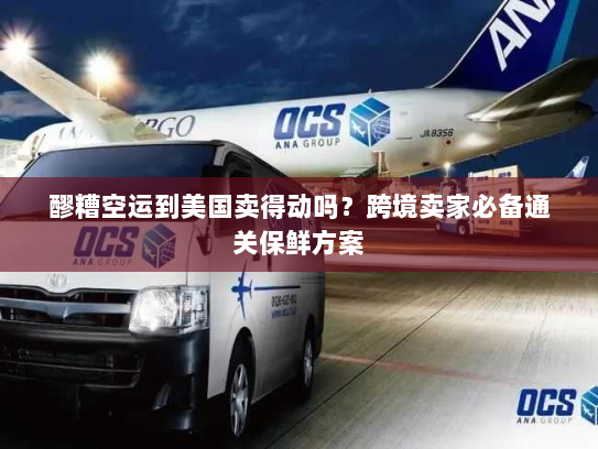 醪糟空运到美国卖得动吗?跨境卖家必备通关保鲜方案 醪糟空运到美国卖得动吗?跨境卖家必备通关保鲜方案