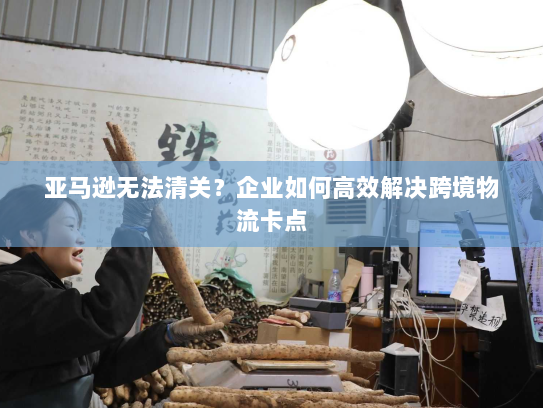 亚马逊无法清关？企业如何高效解决跨境物流卡点