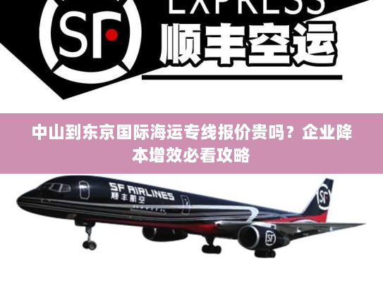 中山到东京国际海运专线报价贵吗？企业降本增效必看攻略