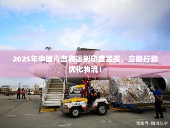 2025年中国青岛海运到印度孟买，立即行动优化物流！