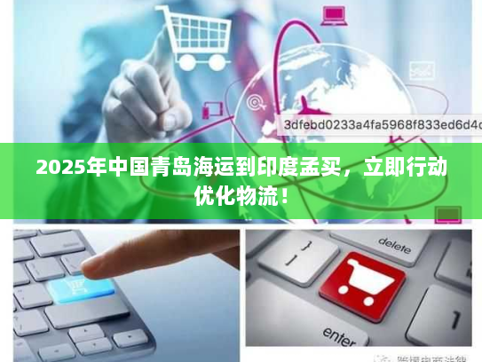 2025年中国青岛海运到印度孟买，立即行动优化物流！