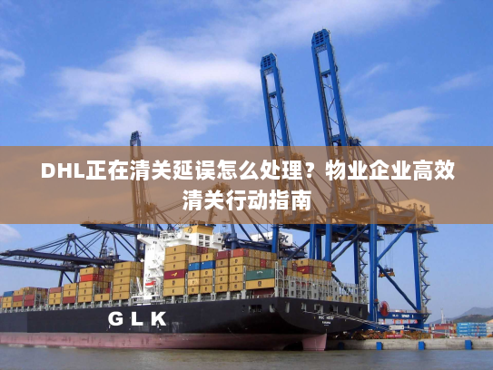DHL正在清关延误怎么处理？物业企业高效清关行动指南