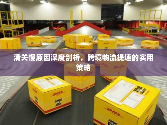清关慢原因深度剖析,跨境物流提速的实用策略 清关慢原因深度剖析,跨境物流提速的实用策略