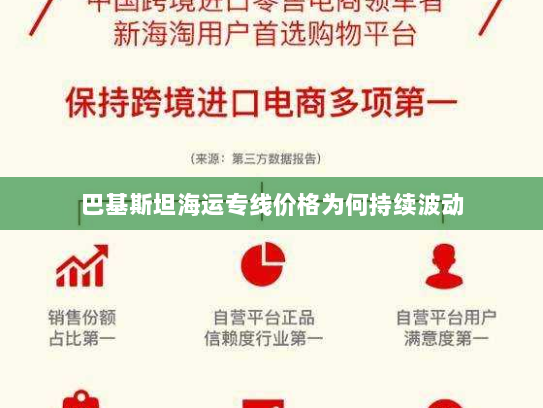 巴基斯坦海运专线价格为何持续波动 巴基斯坦海运专线价格为何持续波动