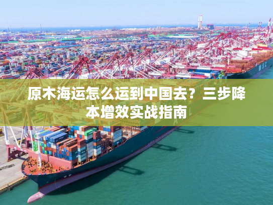 原木海运怎么运到中国去？三步降本增效实战指南