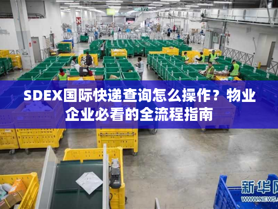 SDEX国际快递查询怎么操作?物业企业必看的全流程指南 SDEX国际快递查询怎么操作?物业企业必看的全流程指南