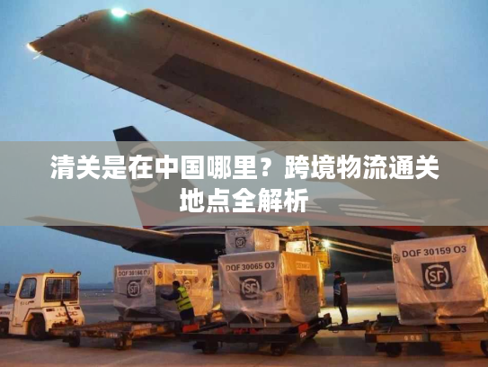清关是在中国哪里?跨境物流通关地点全解析 清关是在中国哪里?跨境物流通关地点全解析