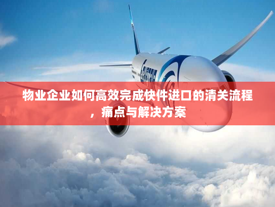 物业企业如何高效完成快件进口的清关流程，痛点与解决方案